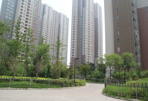 上海瑞錦小區綠化工程
