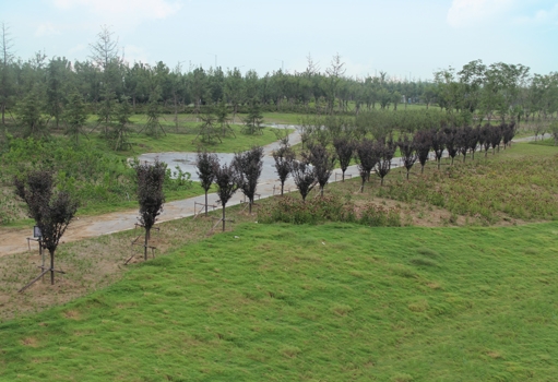 梅河支流生態修復綠化工程