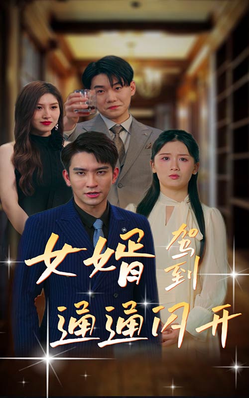 女婿駕到，通通閃開(全集)