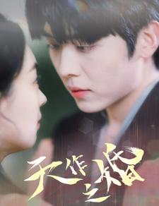 天作之婚第29集