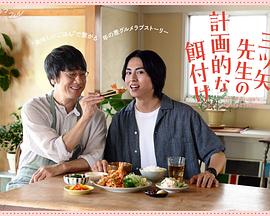 三矢老師的計(jì)劃式投喂。