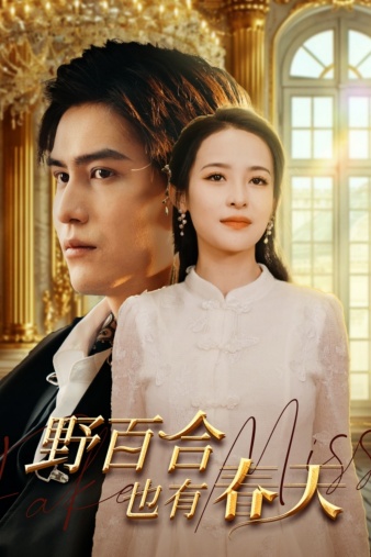 野百合也有春天短劇第50集