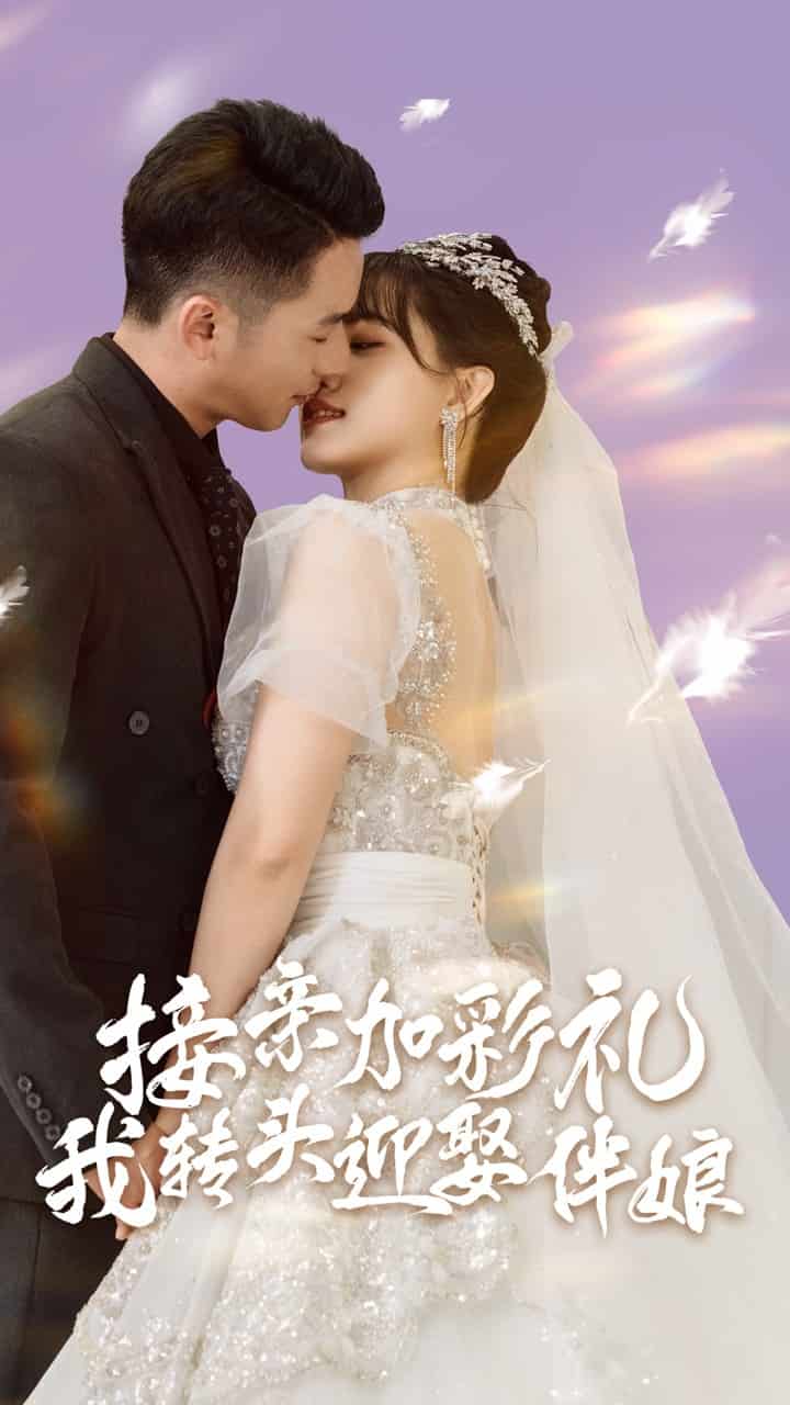 接親加彩禮，我轉(zhuǎn)頭迎娶伴娘(全集)