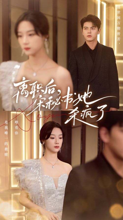 離職后，宋秘書她殺瘋了(全集)