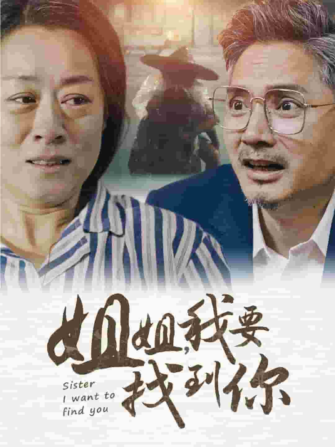 姐姐我要找到你第51集