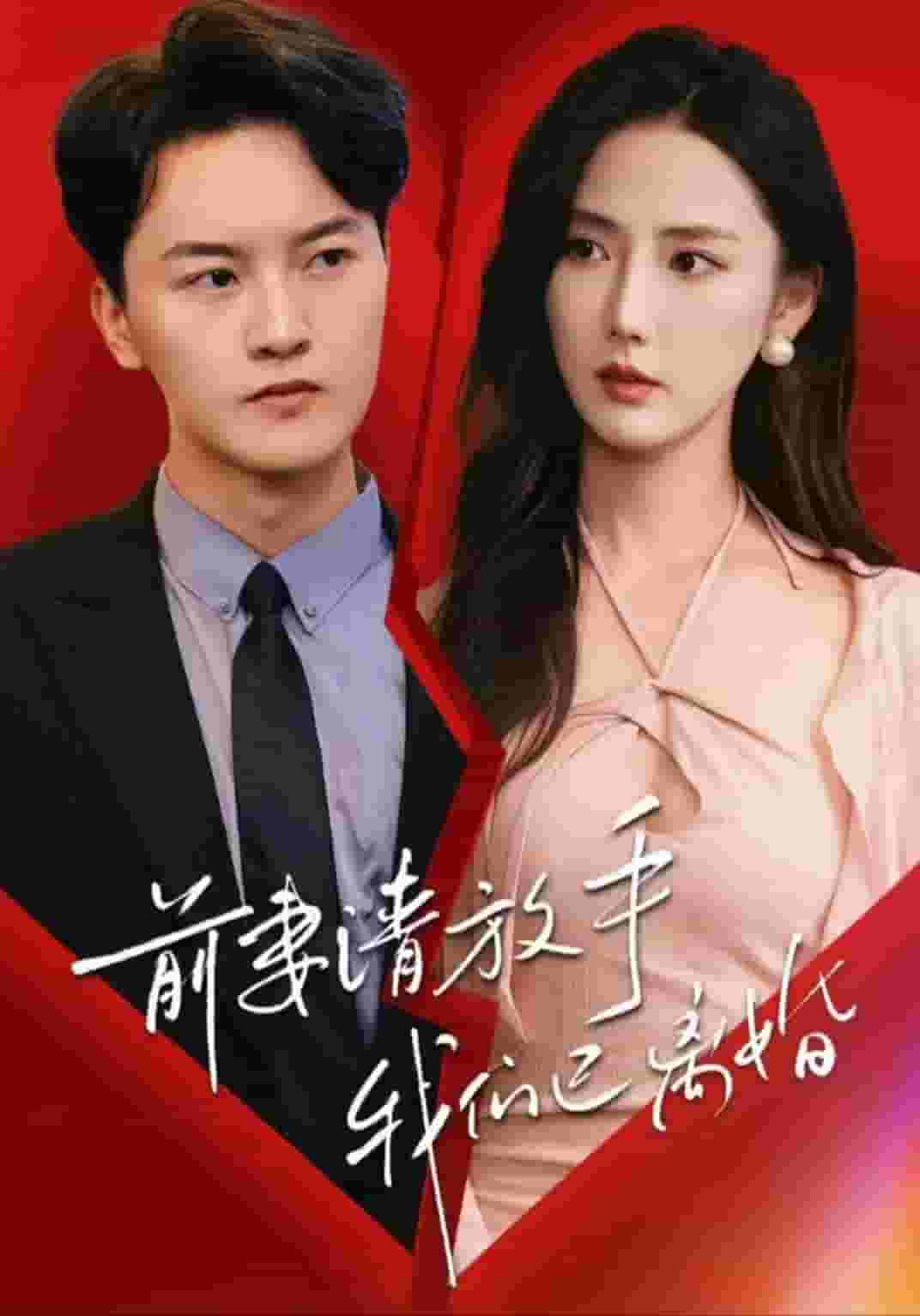 前妻請放手，我們已離婚(全集)