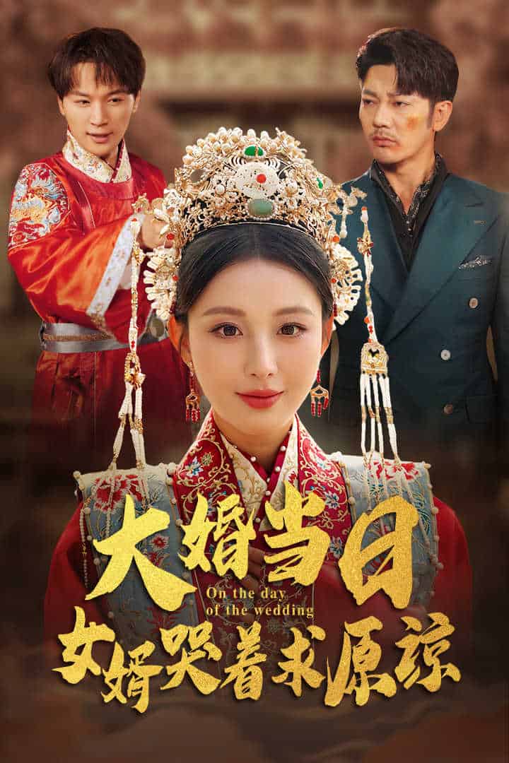 大婚當(dāng)日，女婿哭著求原諒(全集)