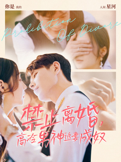 禁止離婚，高冷男神追妻成奴(全集)