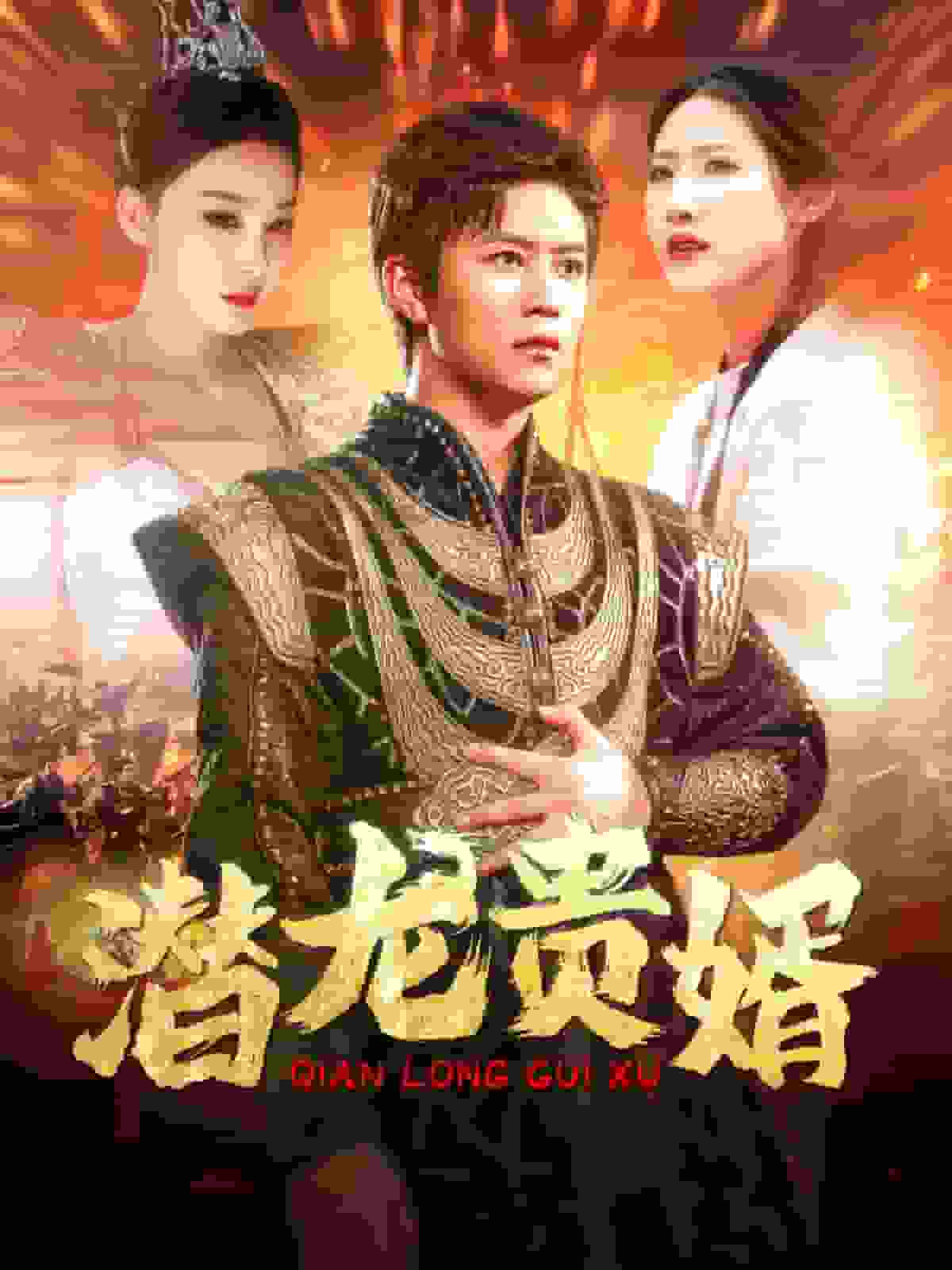 潛龍貴婿(全集)