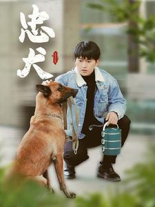 忠犬（短劇版）(全集)