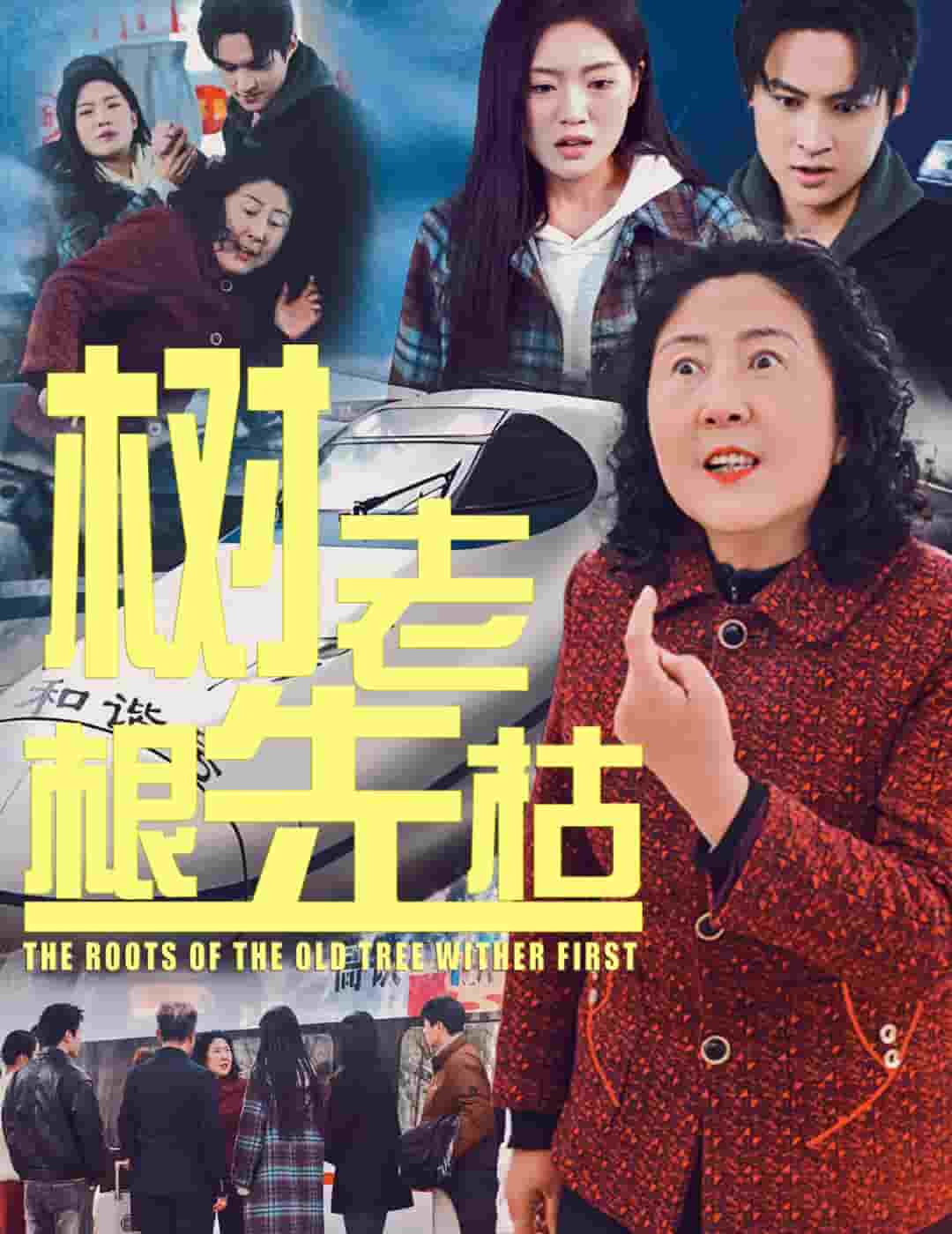 樹老根先枯(全集)