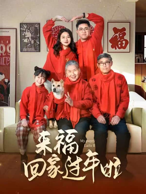 來(lái)?；丶疫^(guò)年啦(全集)