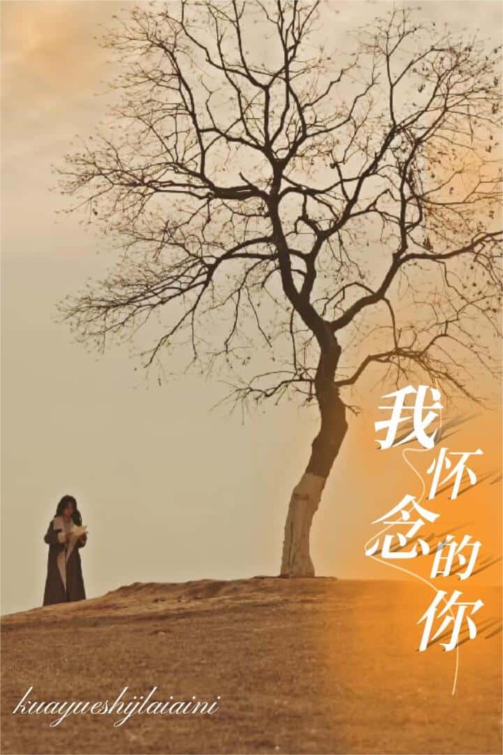 跨越時(shí)間來(lái)愛(ài)你(全集)