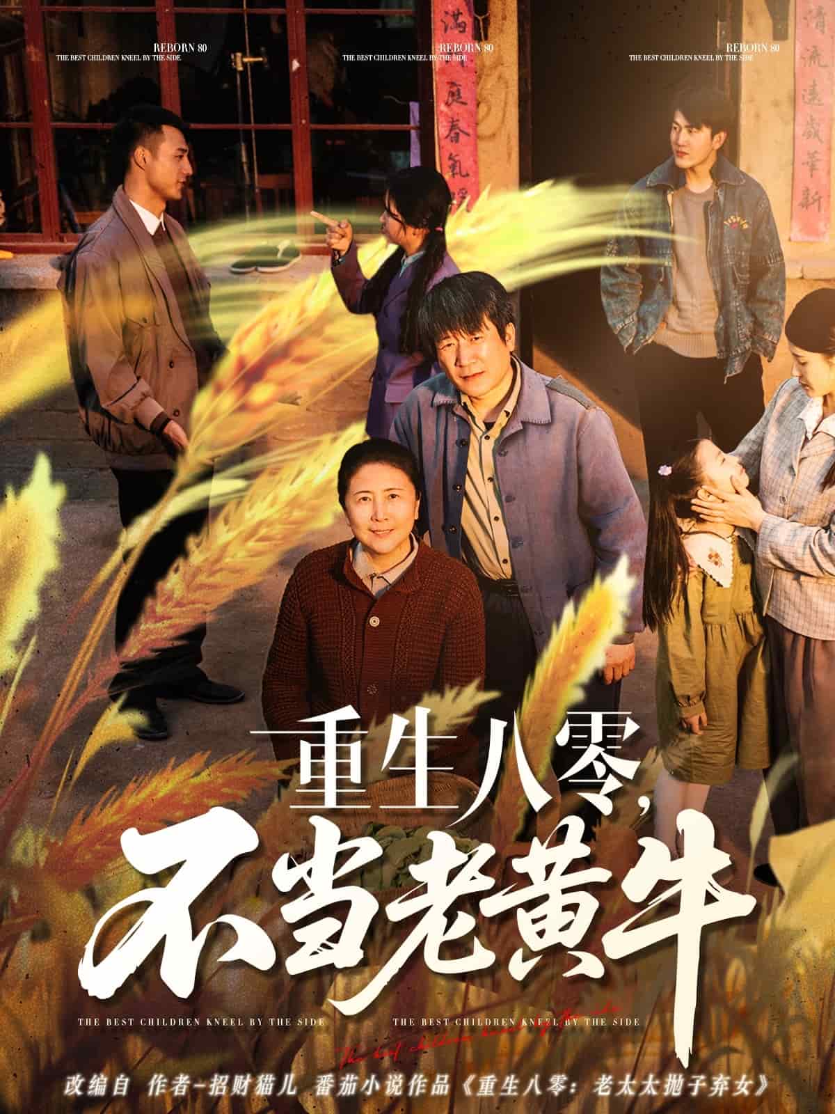 重生八零，不當(dāng)老黃牛(全集)