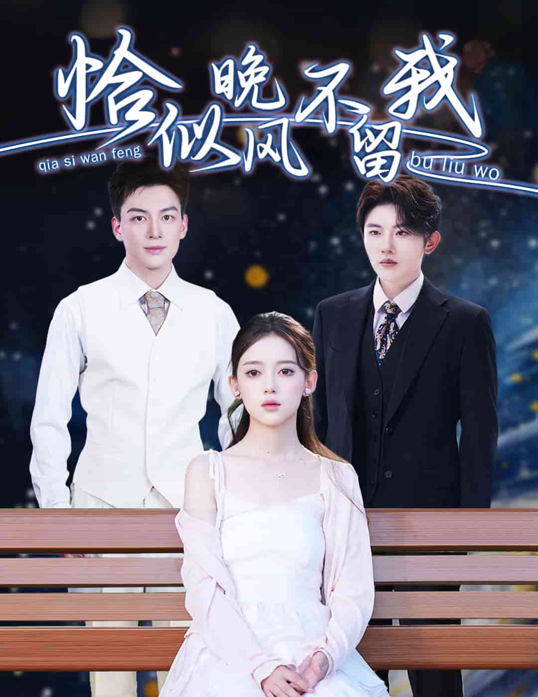 恰似晚風(fēng)不留我(全集)