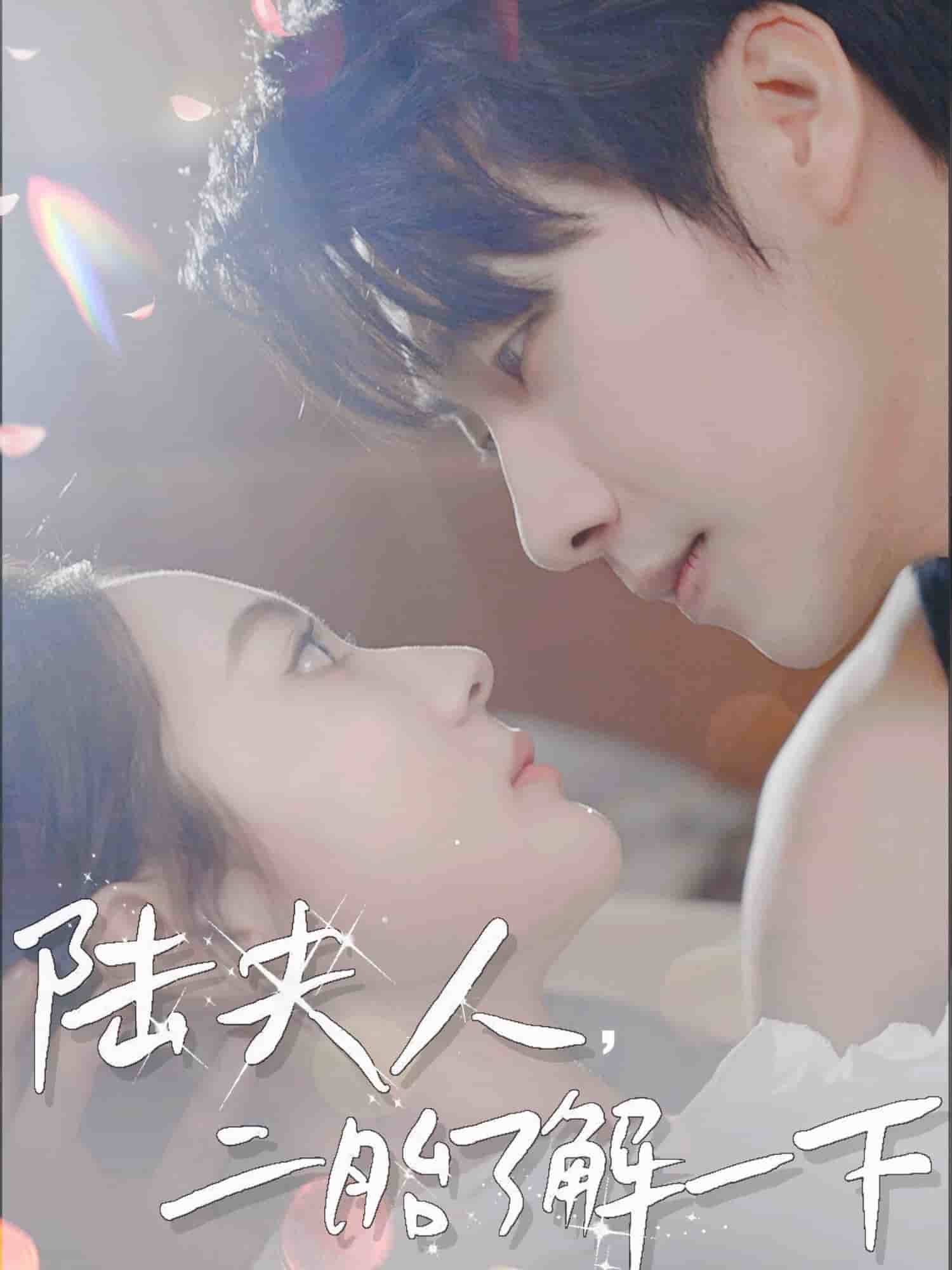 陸夫人，二胎了解一下(全集)