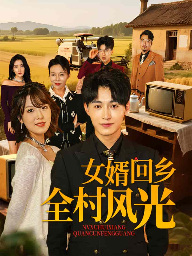 女婿回鄉(xiāng)全村風(fēng)光(全集)