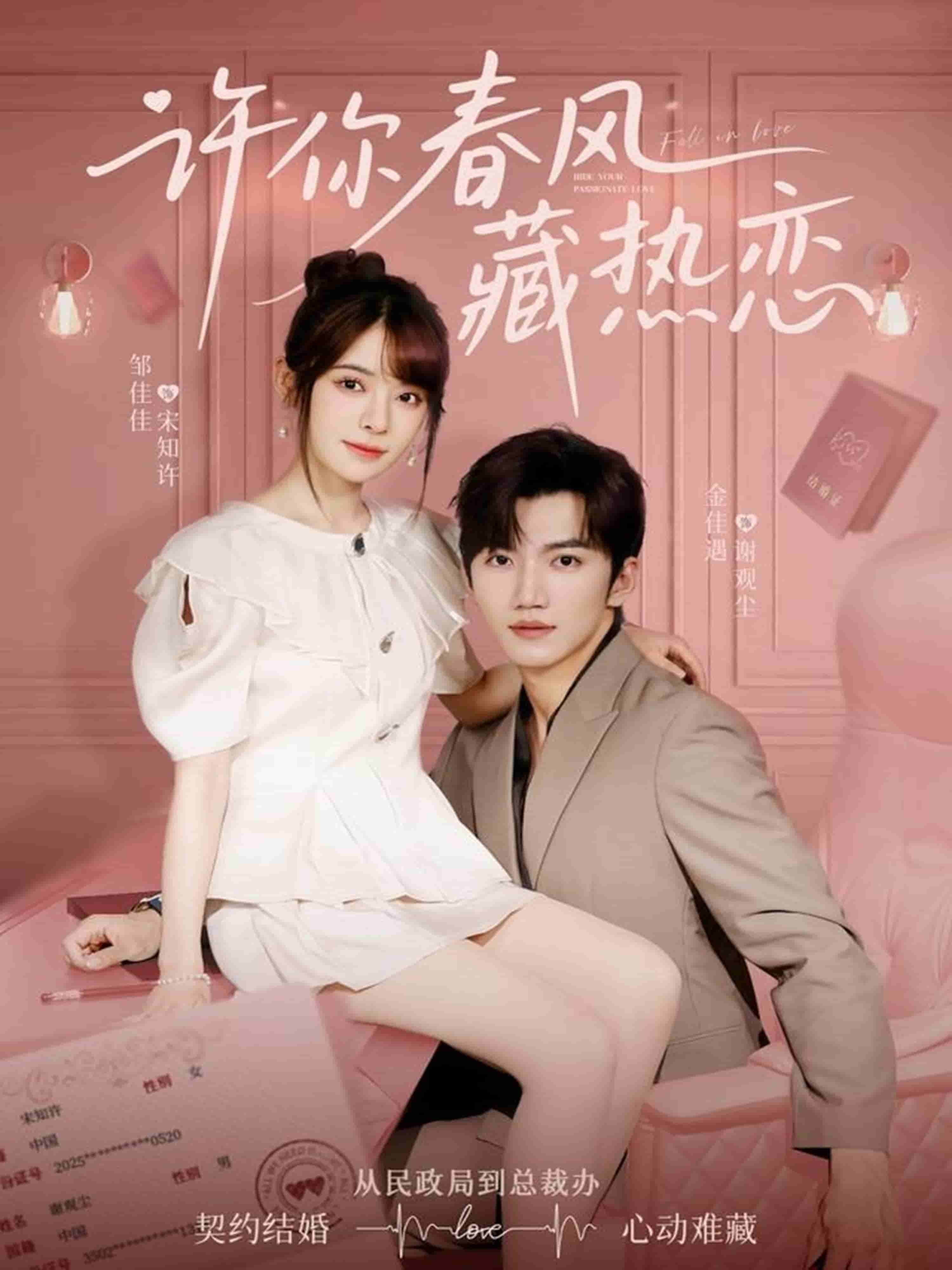 許你春風(fēng)藏?zé)釕?全集)