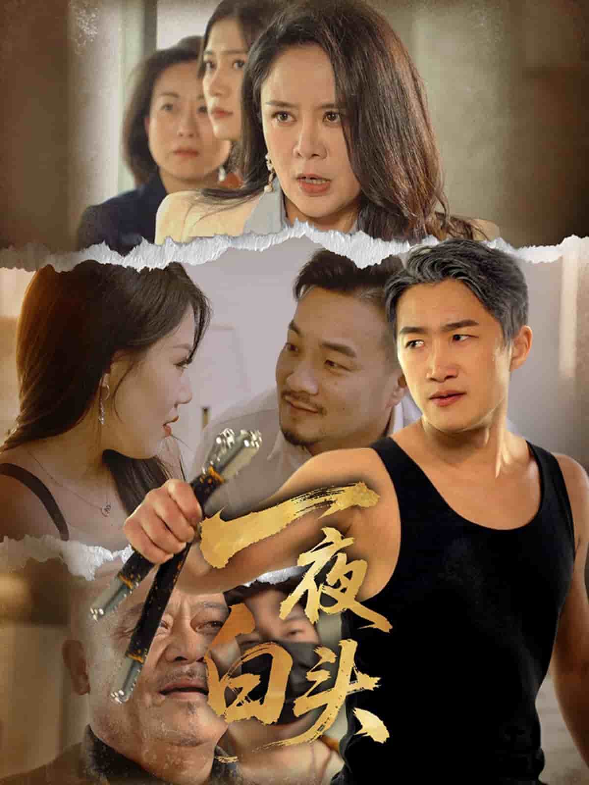 一夜白頭(全集)