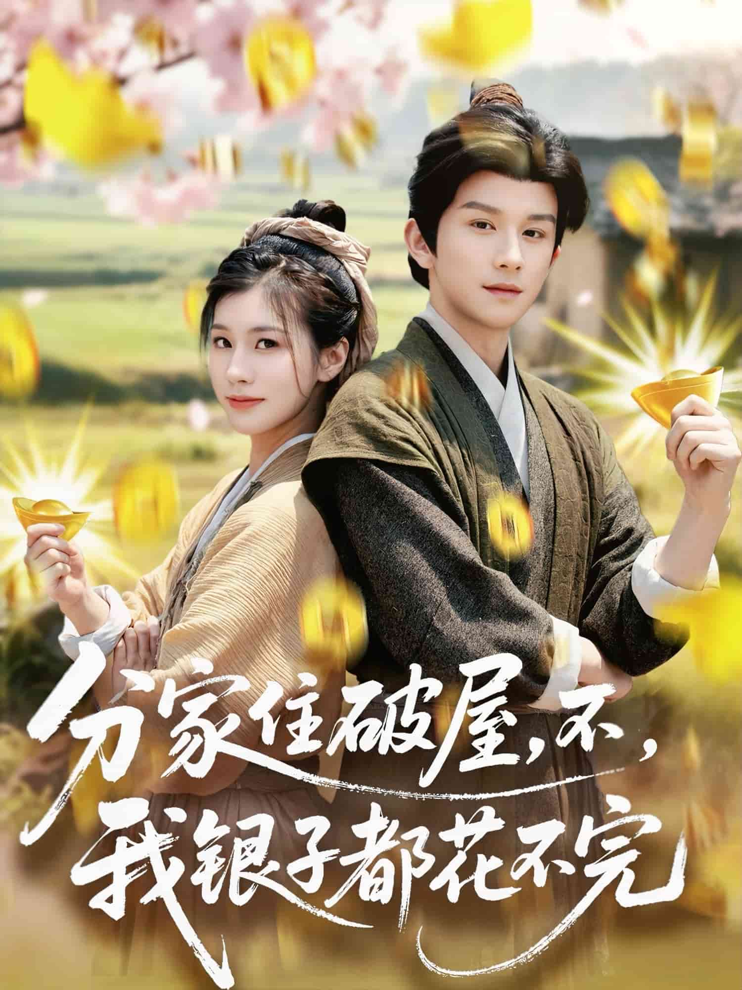 分家住破屋，不，我銀子都花不完(全集)