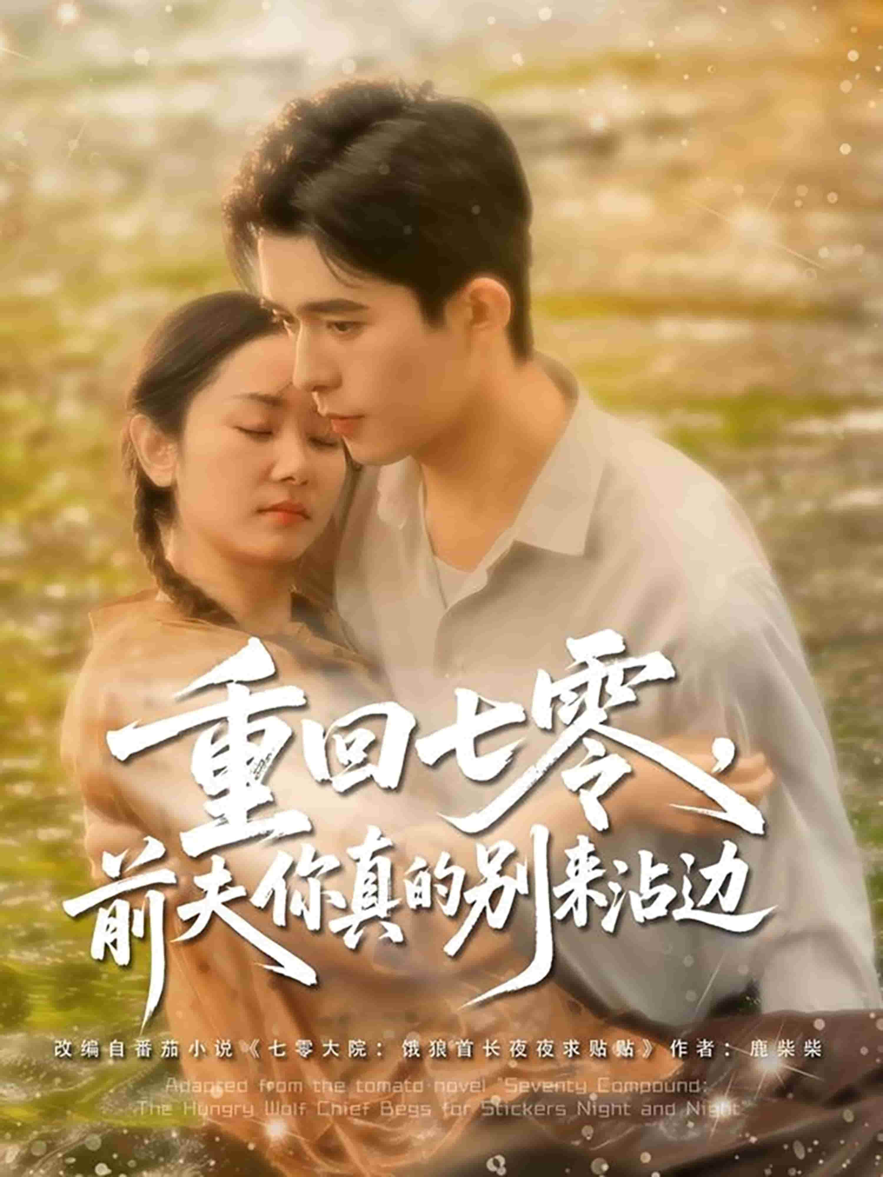 重回七零前夫你真的別來(lái)沾邊(全集)