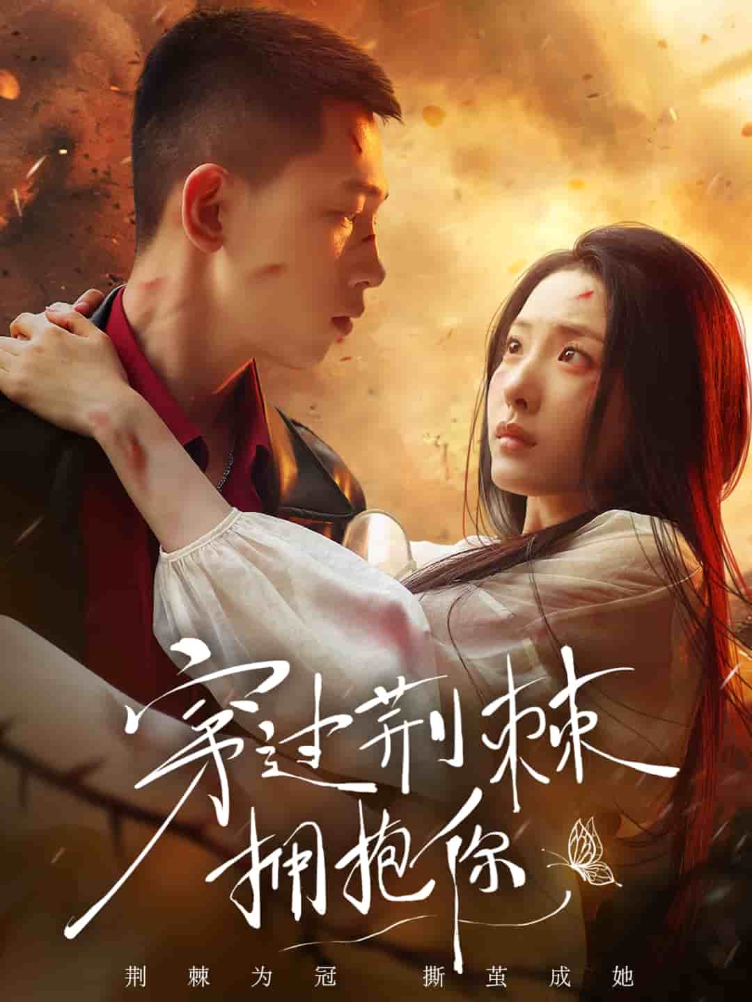 穿過(guò)荊棘擁抱你(全集)