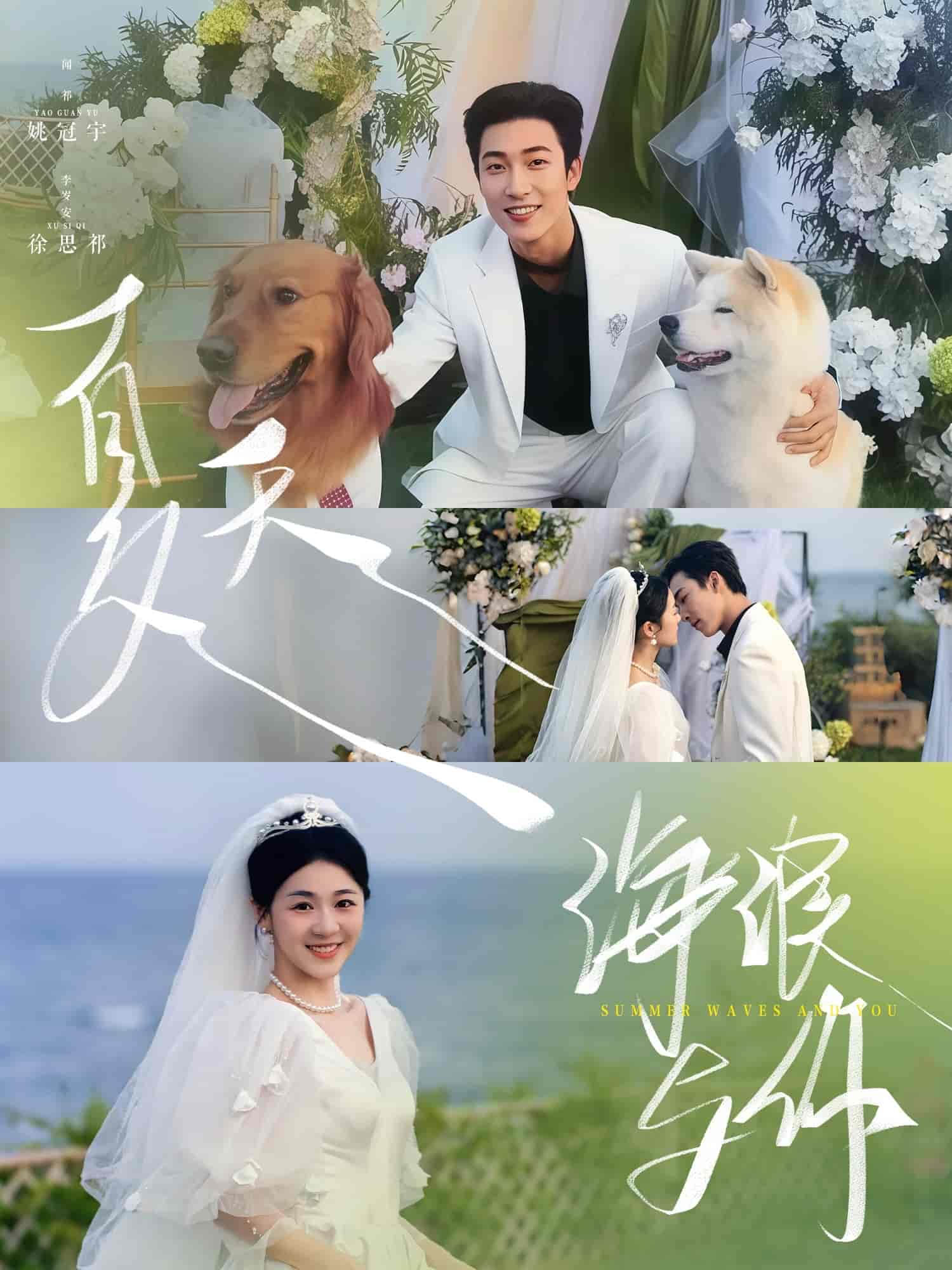 夏天，海浪與你(全集)