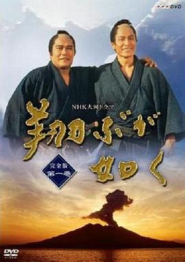 宛如飛翔(全集)