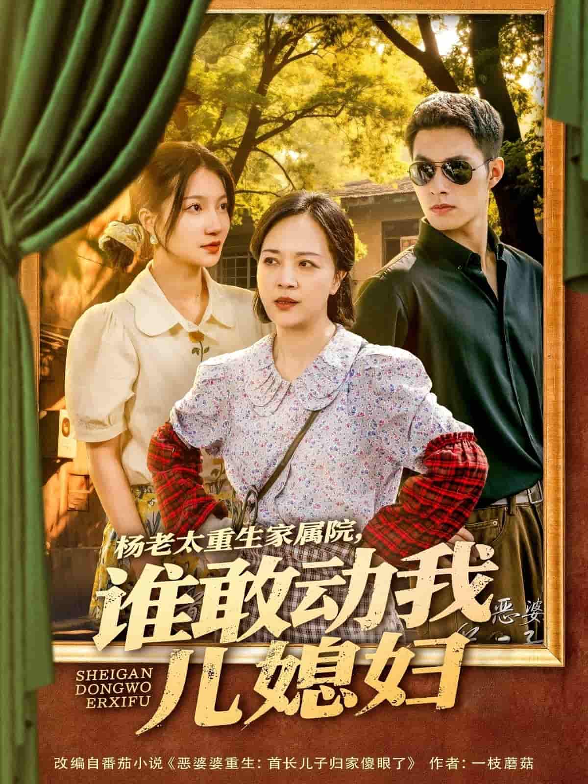 楊老太重生家屬院，誰敢動我兒媳婦(全集)