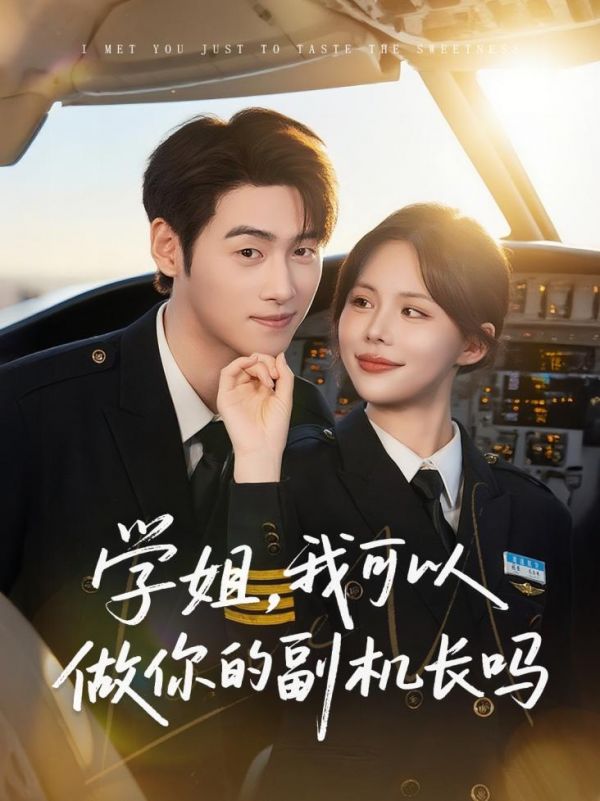 學(xué)姐我可以做你的副機(jī)長(zhǎng)嗎(全集)