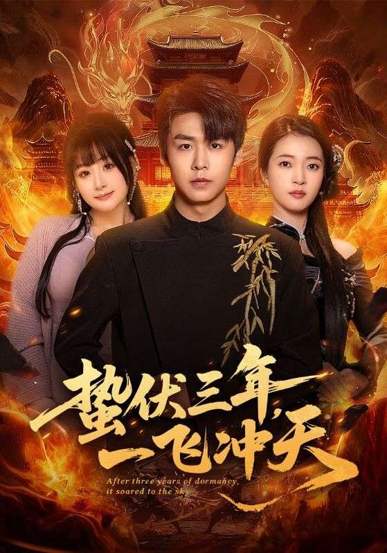 蟄伏三年，一飛沖天(全集)