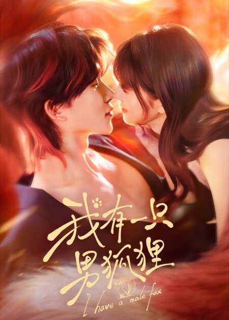 我有一只男狐貍(全集)