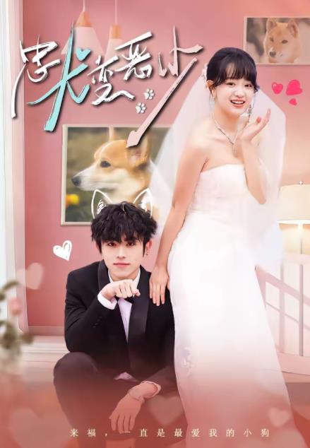 驚！我家來福變惡少了(全集)