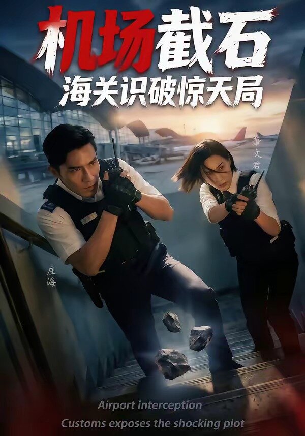 機(jī)場(chǎng)截石，海關(guān)識(shí)破驚天局(全集)