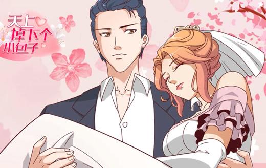 天上掉下個(gè)小包子動(dòng)態(tài)漫畫(huà)(全集)