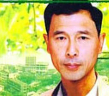 夏季無風(fēng)(全集)