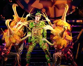 斗法（英語(yǔ)版)(全集)