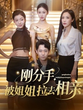 剛分手，被姐姐拉去相親(全集)