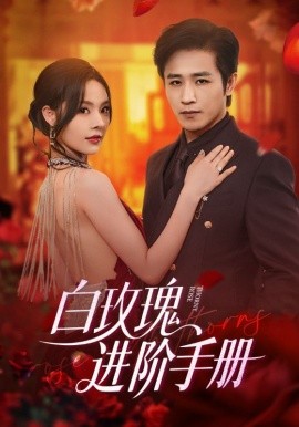 白玫瑰進(jìn)階手冊(cè)(全集)