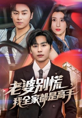 老婆別慌我全家都是高手(全集)