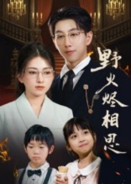 野火燼相思(全集)