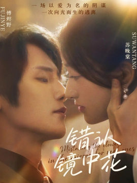 錯(cuò)認(rèn)鏡中花(全集)