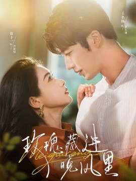 玫瑰藏進晚風(fēng)里(全集)