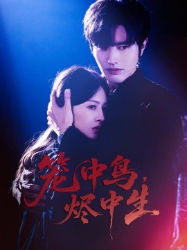 籠中鳥(niǎo)，燼中生(全集)