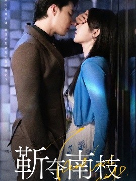 靳奪南枝 甜欲肆吻(全集)