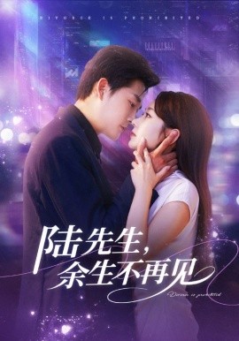 陸先生，余生不再見(全集)