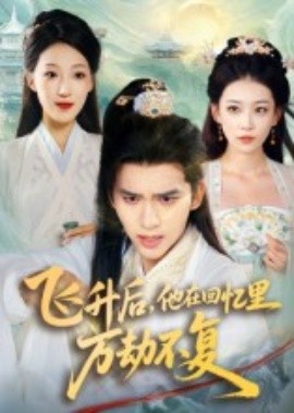 飛升后，他在回憶里萬劫不復(fù)(全集)
