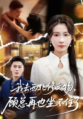 我去西北修文物，顧總再也坐不住了(全集)