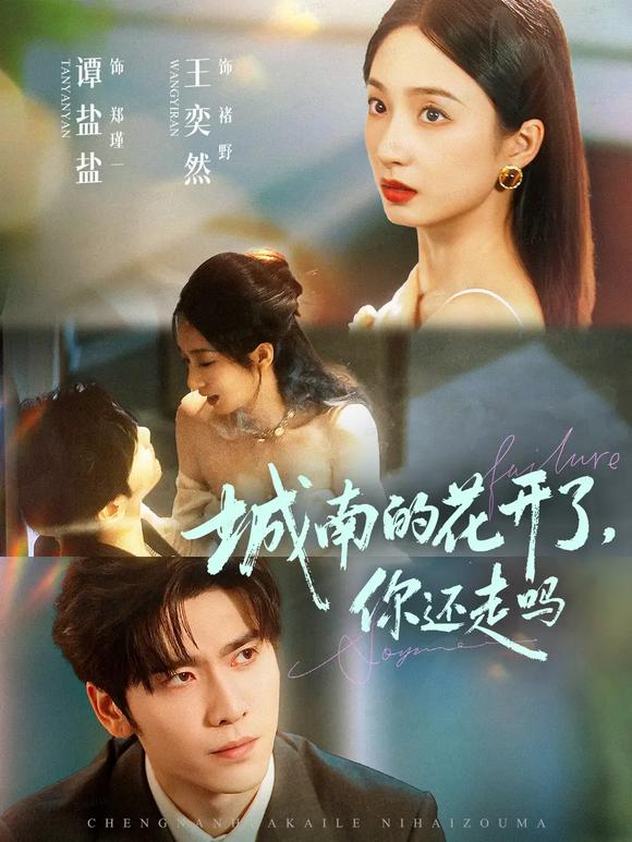 城南的花開(kāi)了，你還走嗎(全集)