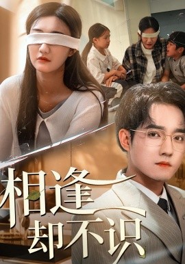 相逢卻不識(全集)